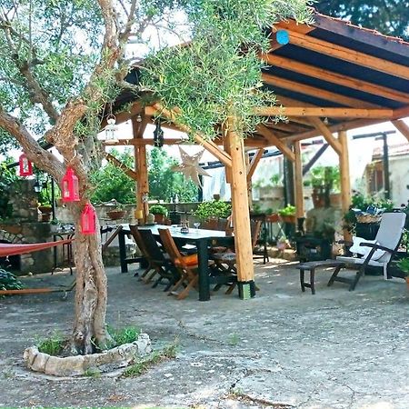 Villa Parco Alta Murgia 卡萨诺德莱穆尔杰 外观 照片
