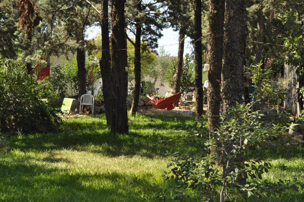 Villa Parco Alta Murgia 卡萨诺德莱穆尔杰 外观 照片