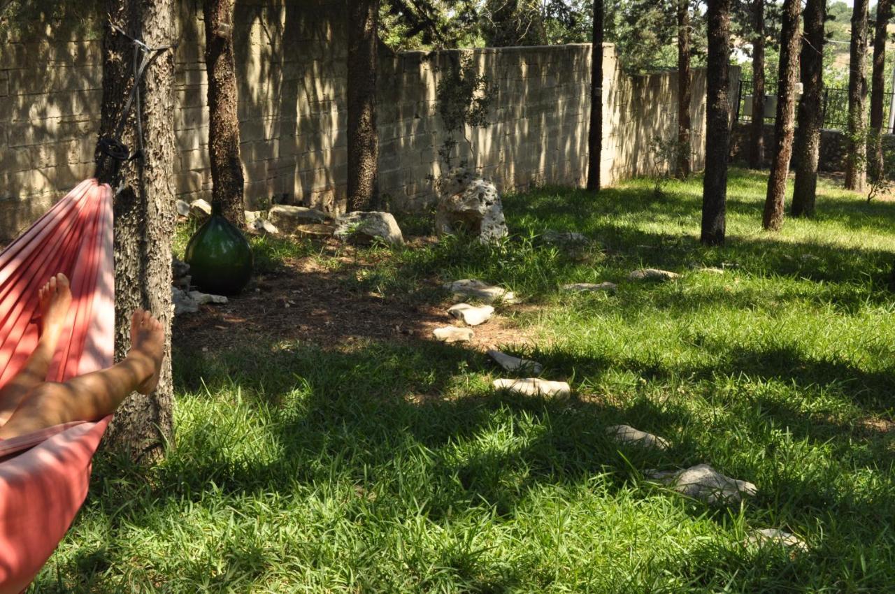 Villa Parco Alta Murgia 卡萨诺德莱穆尔杰 外观 照片