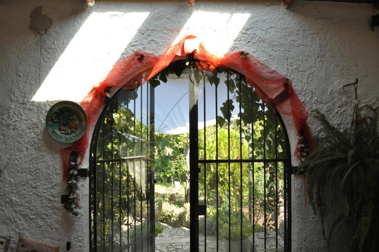 Villa Parco Alta Murgia 卡萨诺德莱穆尔杰 外观 照片