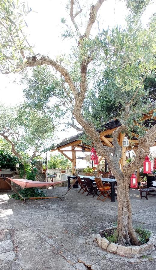 Villa Parco Alta Murgia 卡萨诺德莱穆尔杰 外观 照片