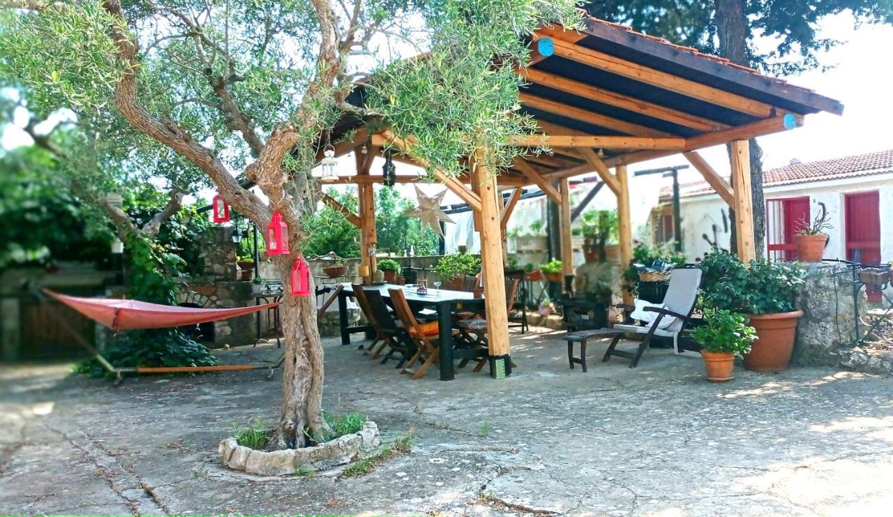 Villa Parco Alta Murgia 卡萨诺德莱穆尔杰 外观 照片