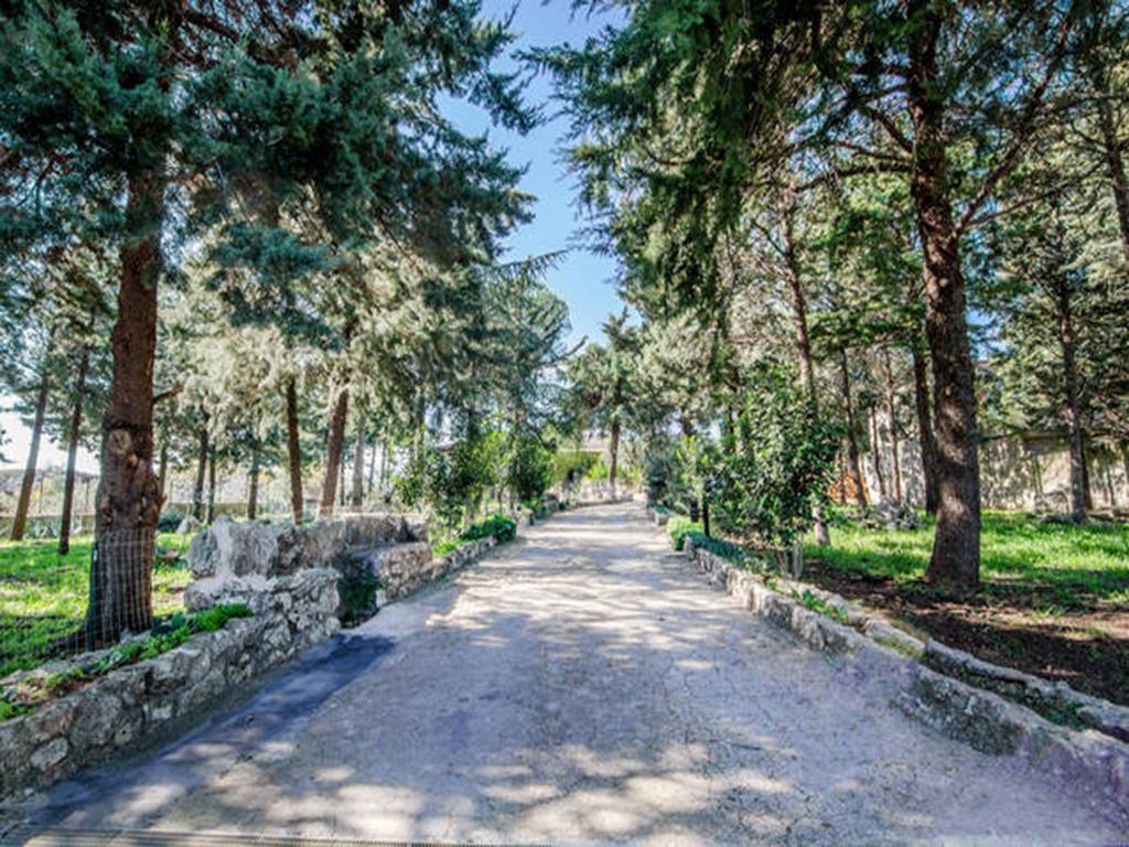 Villa Parco Alta Murgia 卡萨诺德莱穆尔杰 客房 照片