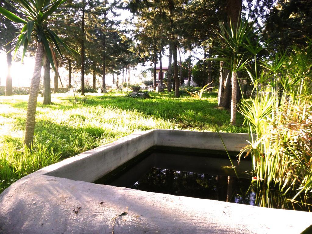 Villa Parco Alta Murgia 卡萨诺德莱穆尔杰 外观 照片