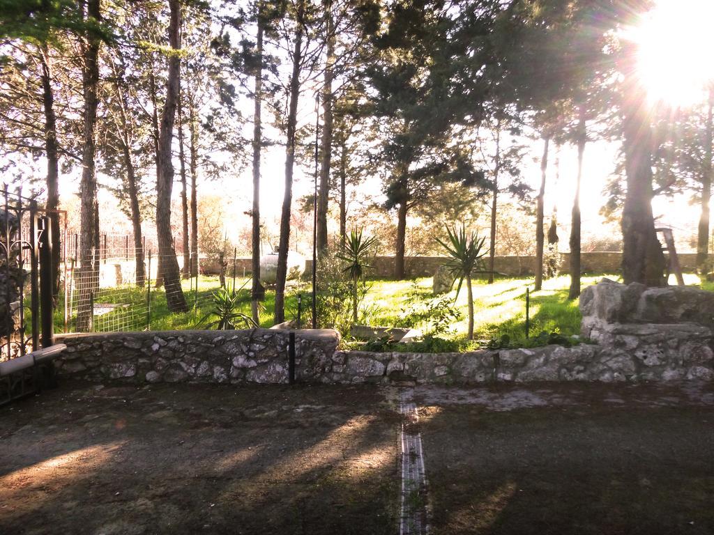 Villa Parco Alta Murgia 卡萨诺德莱穆尔杰 外观 照片
