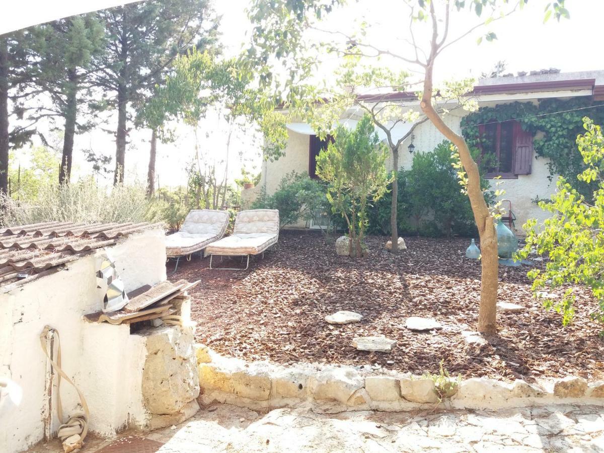 Villa Parco Alta Murgia 卡萨诺德莱穆尔杰 外观 照片